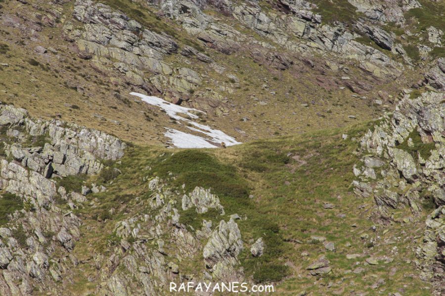 Ruta: Vuelta al Midi d’Ossau