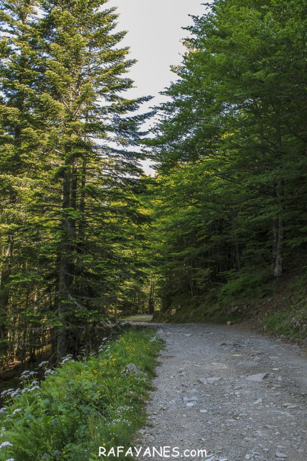 Ruta: Vuelta al Midi d’Ossau