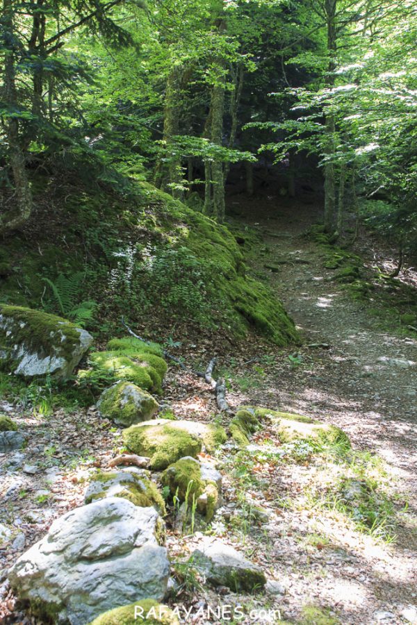 Ruta: Vuelta al Midi d’Ossau