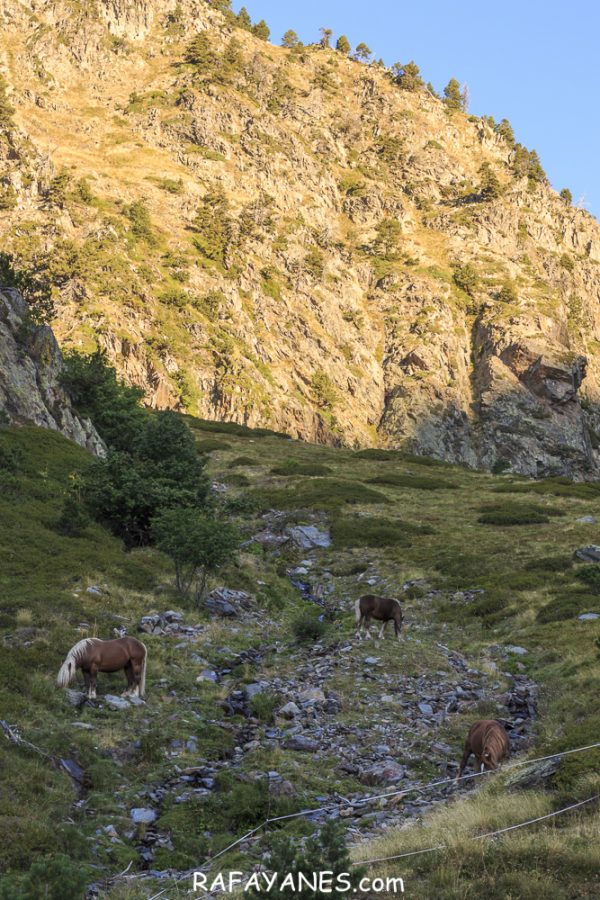 Ruta: Medacorba (2.905 m.) y Comapedrosa ( 2.942 m) (Els 100 Cims)