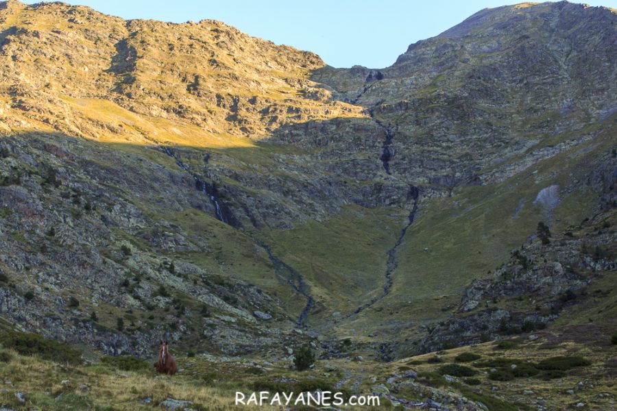 Ruta: Medacorba (2.905 m.) y Comapedrosa ( 2.942 m) (Els 100 Cims)