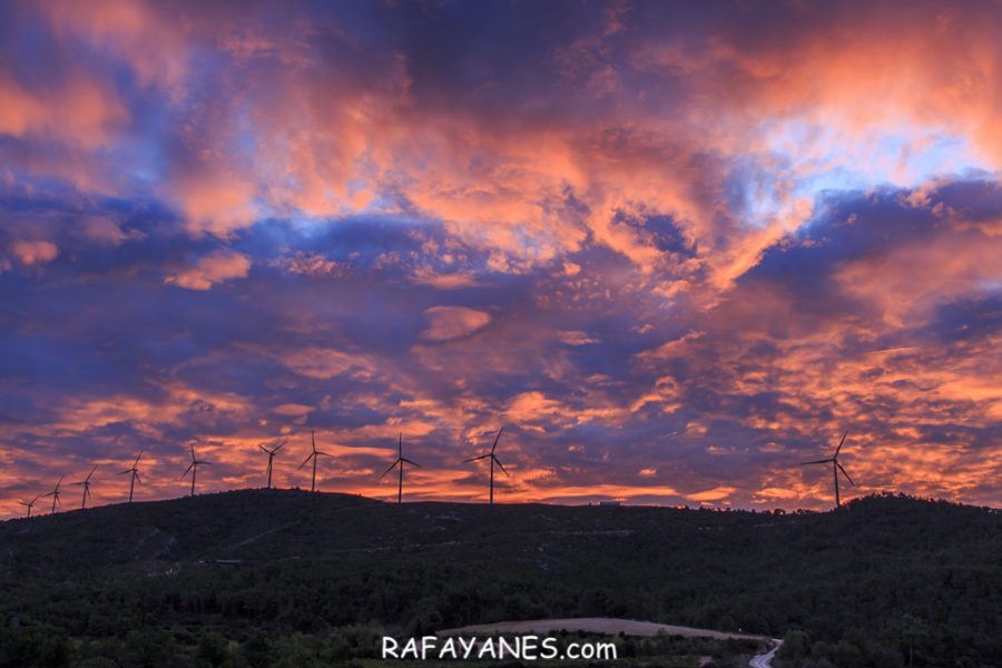 Ruta: El Cogulló de Cabra (881 m.) (Els 100 cims)