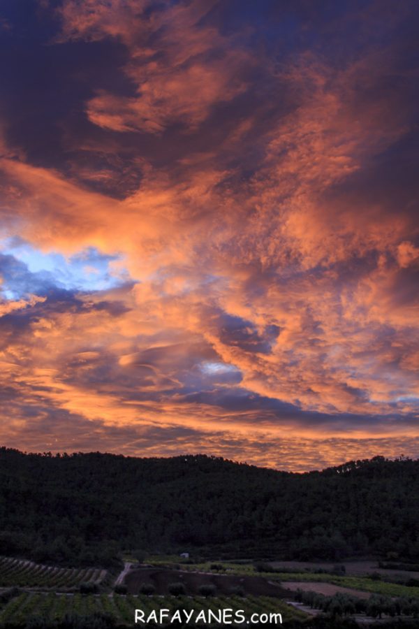 Ruta: El Cogulló de Cabra (881 m.) (Els 100 cims)