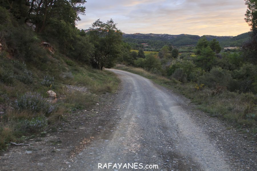 Ruta: El Cogulló de Cabra (881 m.) (Els 100 cims)
