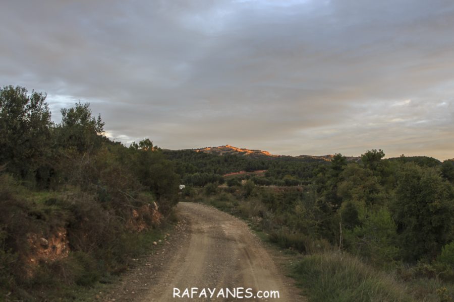 Ruta: El Cogulló de Cabra (881 m.) (Els 100 cims)
