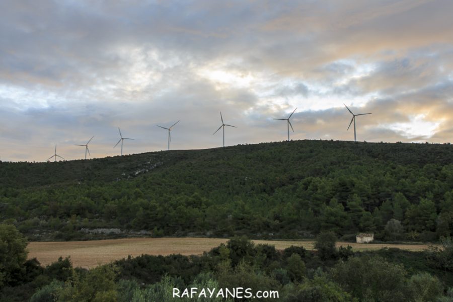 Ruta: El Cogulló de Cabra (881 m.) (Els 100 cims)