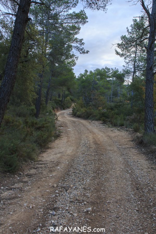 Ruta: El Cogulló de Cabra (881 m.) (Els 100 cims)