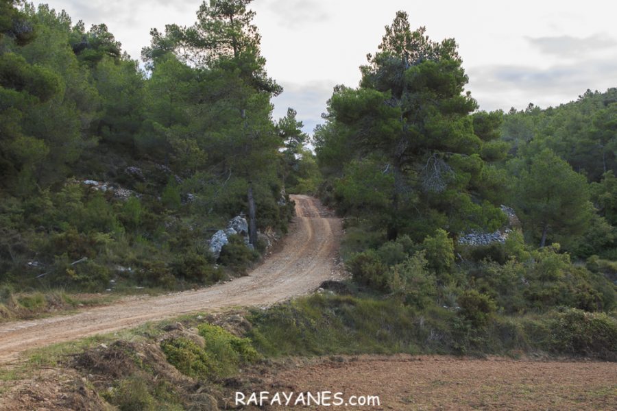 Ruta: El Cogulló de Cabra (881 m.) (Els 100 cims)