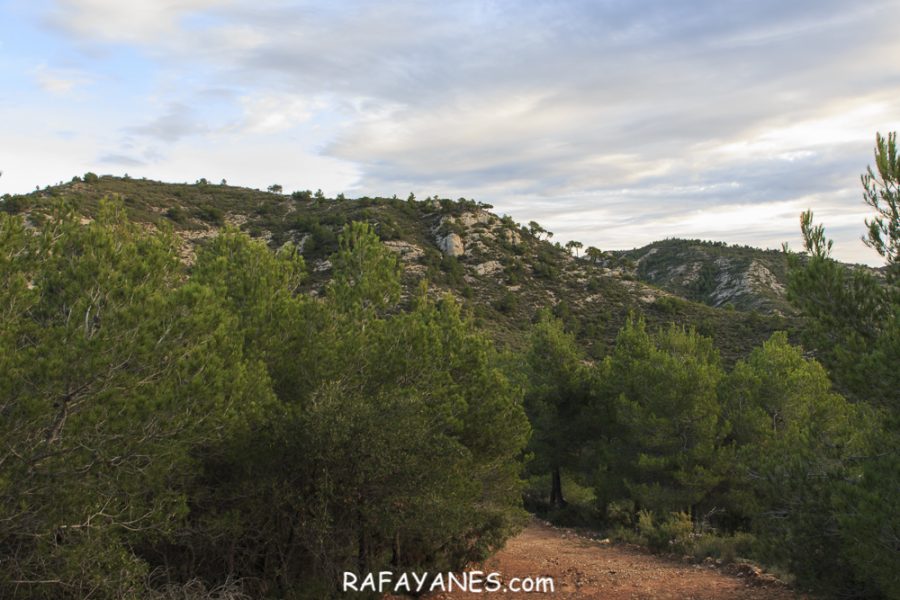 Ruta: El Cogulló de Cabra (881 m.) (Els 100 cims)
