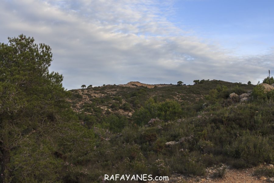 Ruta: El Cogulló de Cabra (881 m.) (Els 100 cims)