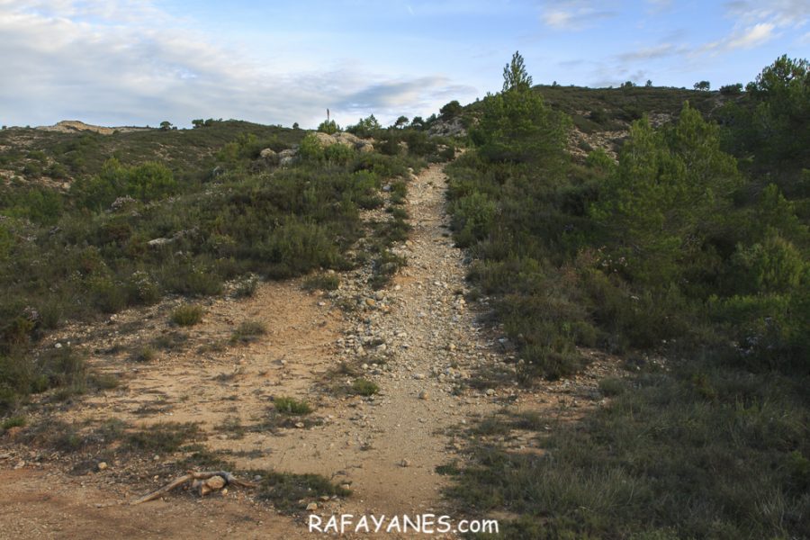 Ruta: El Cogulló de Cabra (881 m.) (Els 100 cims)