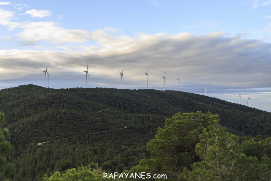 Ruta: El Cogulló de Cabra (881 m.) (Els 100 cims)