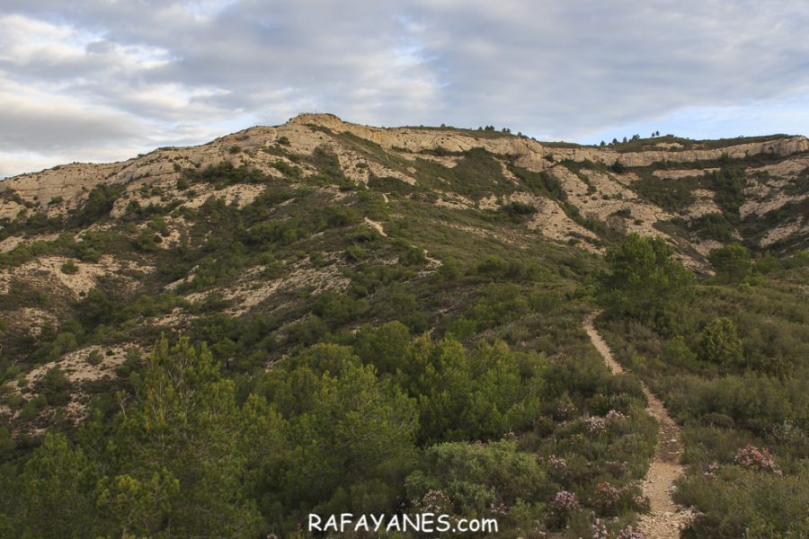 Ruta: El Cogulló de Cabra (881 m.) (Els 100 cims)