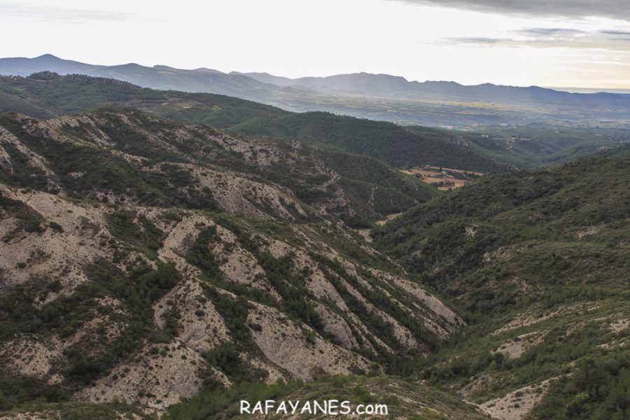 Ruta: El Cogulló de Cabra (881 m.) (Els 100 cims)