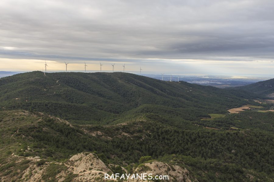 Ruta: El Cogulló de Cabra (881 m.) (Els 100 cims)