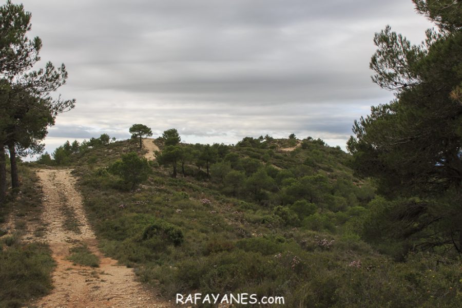 Ruta: El Cogulló de Cabra (881 m.) (Els 100 cims)