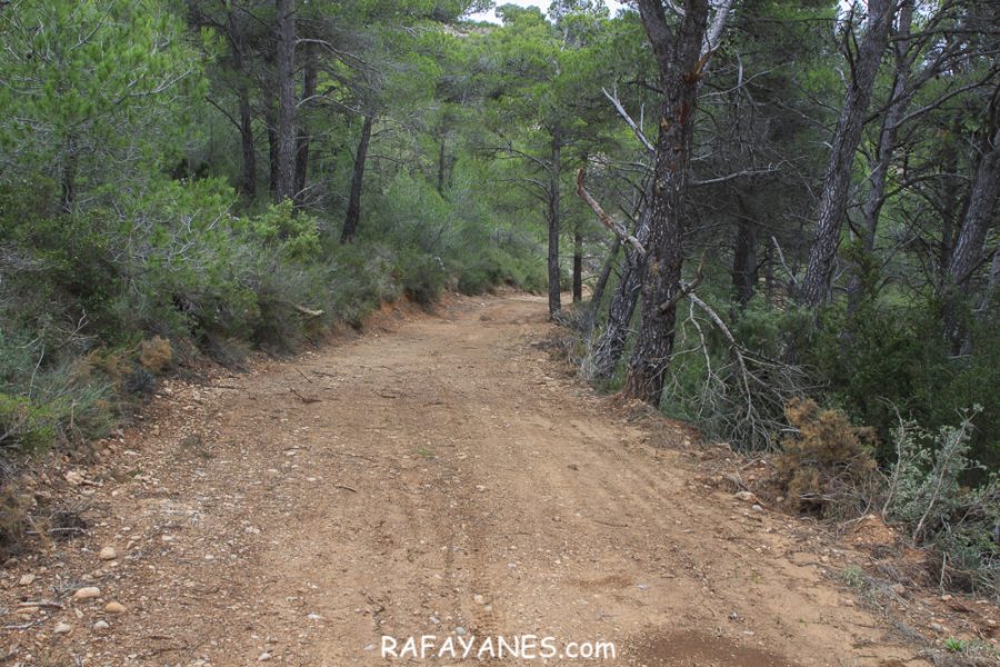 Ruta: El Cogulló de Cabra (881 m.) (Els 100 cims)