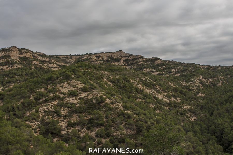 Ruta: El Cogulló de Cabra (881 m.) (Els 100 cims)
