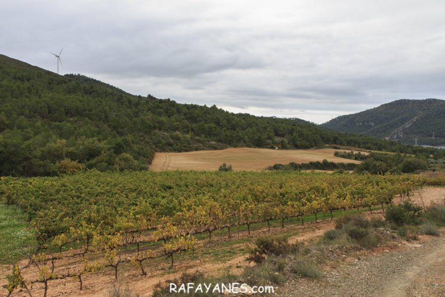 Ruta: El Cogulló de Cabra (881 m.) (Els 100 cims)