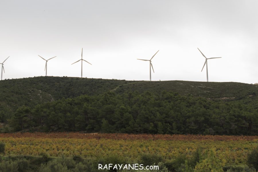 Ruta: El Cogulló de Cabra (881 m.) (Els 100 cims)