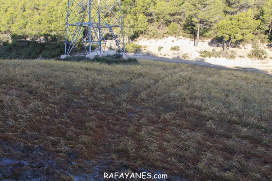 Ruta: Grony de Miralles (866 m.) (Els 100 Cims)