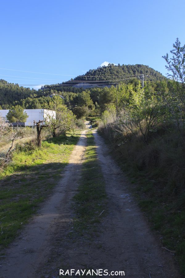 Ruta: Puigsoler (524 m.) (Els 100 Cims)