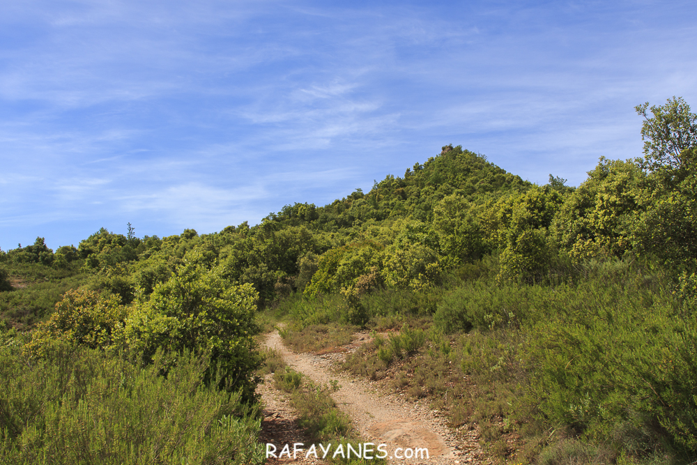 Ruta: Roca Sereny ( 804 m.) (Els 100 Cims)