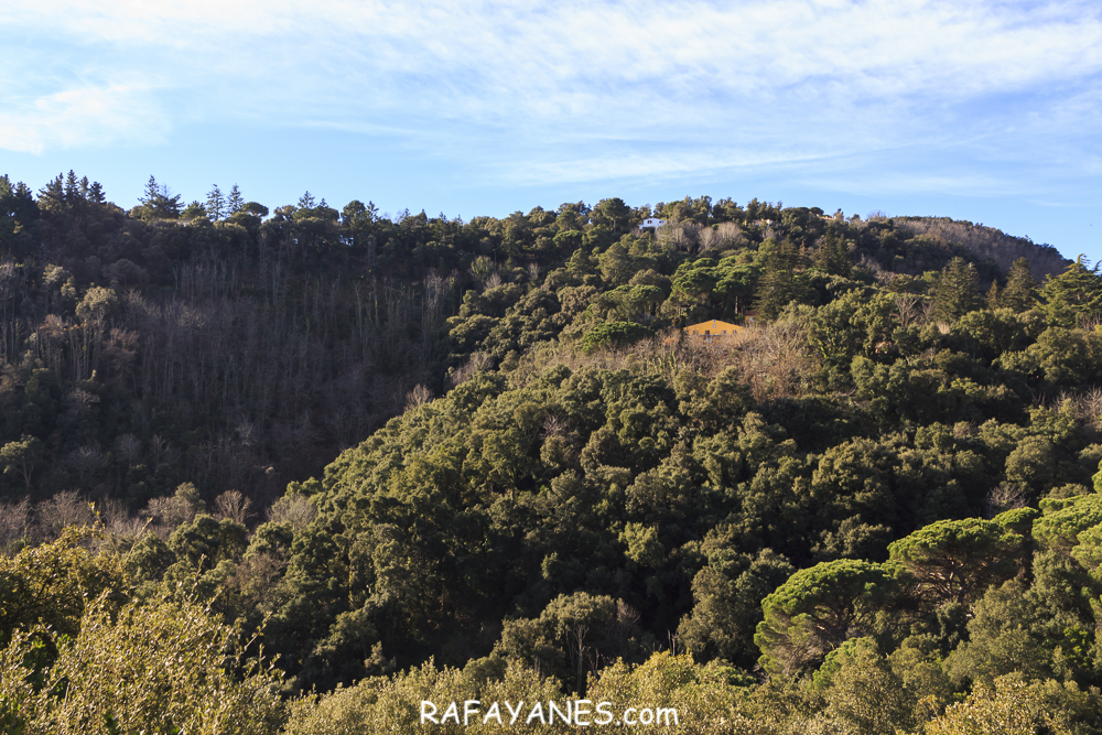 Ruta: Capilla de l'Erola - Pantano de Brinxa - Encinas de Can Portell Ruta: Capilla de l'Erola - Pantano de Brinxa - Encinas de Can Portell