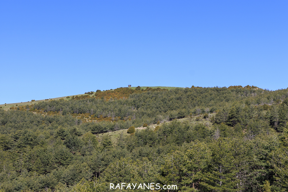 Ruta: Pui de Lleràs (1.692 m.) (Els 100 Cims)