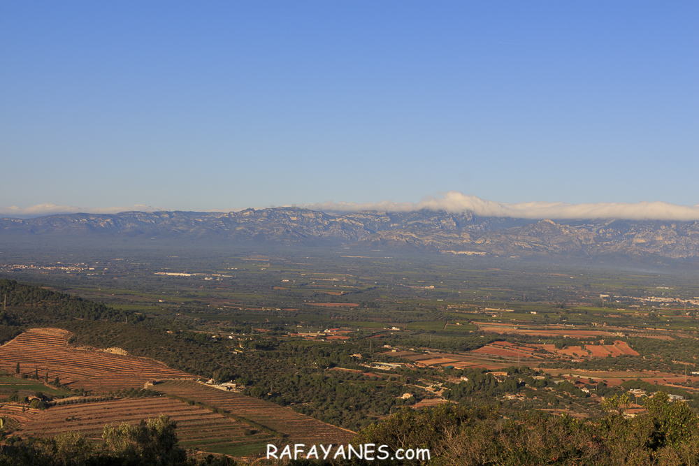 Ruta: Montsianell ( 293 m.) y Torreta de Montsià ( 763 m.)(Els 100 Cims)
