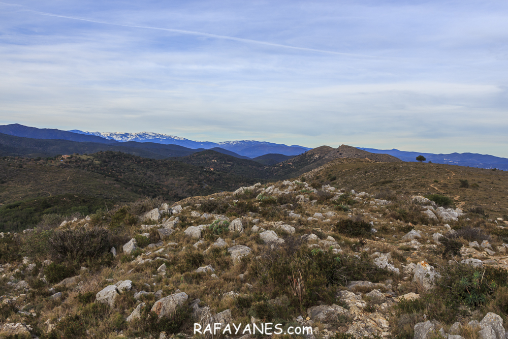Ruta: Roc de Mallorca ( 443 m.)(Els 100 Cims)