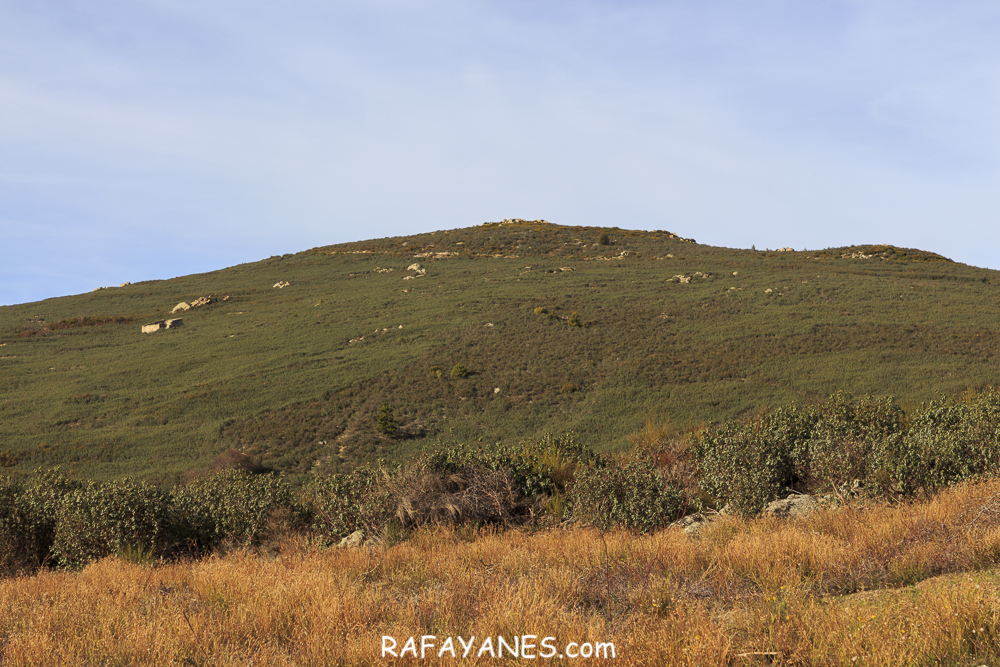 Ruta: Roca Gelera ( 1010 m.)(Els 100 Cims)