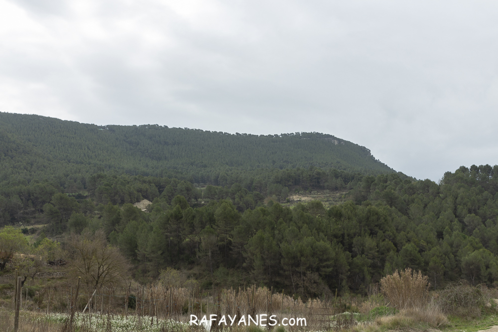 Ruta: Puig d’Aguilera ( 626 m) (Els 100 Cims)