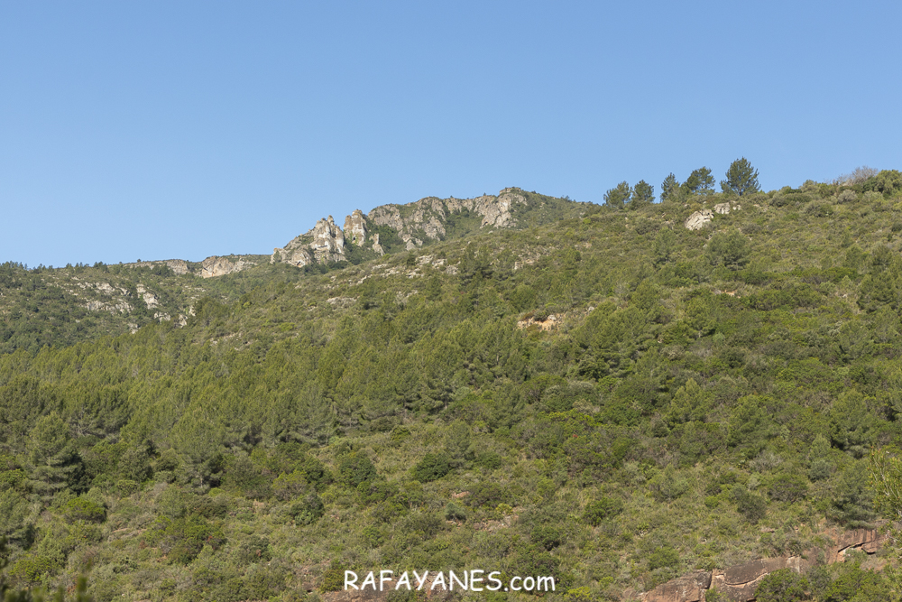 Ruta: La Morella ( 594 m) (Els 100 Cims)