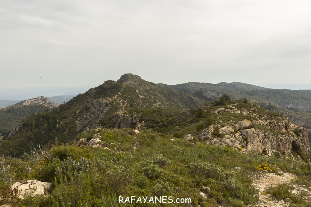 Ruta: Puig Cavaller (706 m.) y Punta Redona (659 m) (Els 100 Cims)