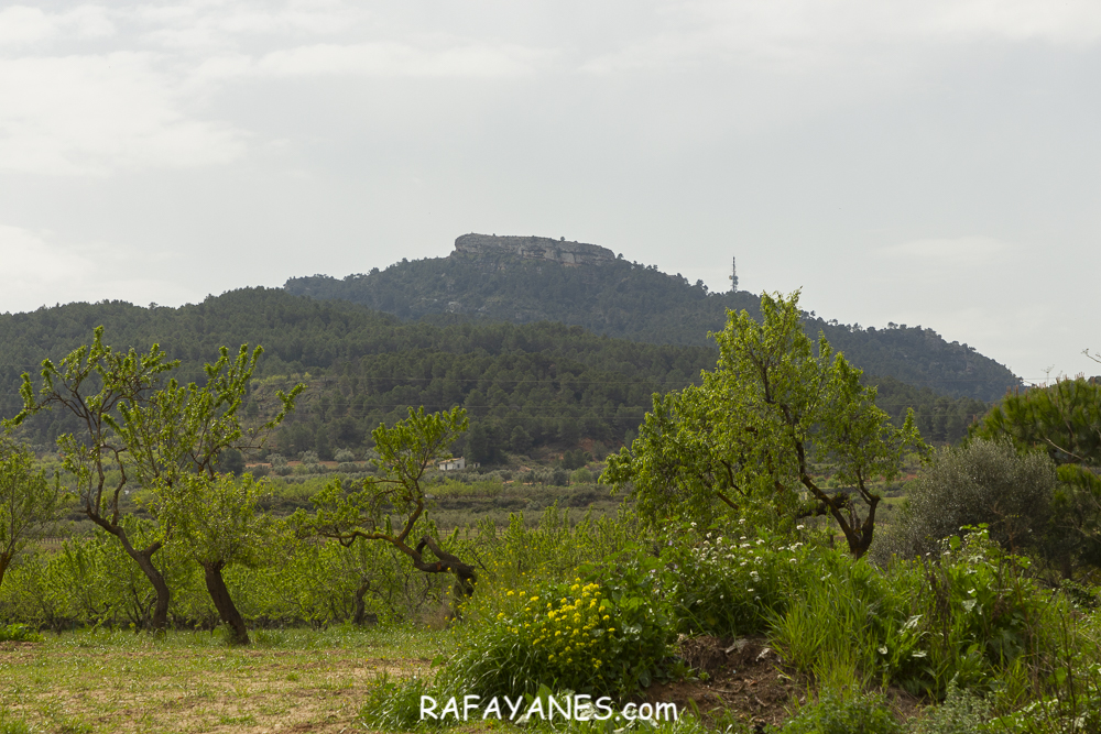 Ruta: Puig Cavaller (706 m.) y Punta Redona (659 m) (Els 100 Cims)