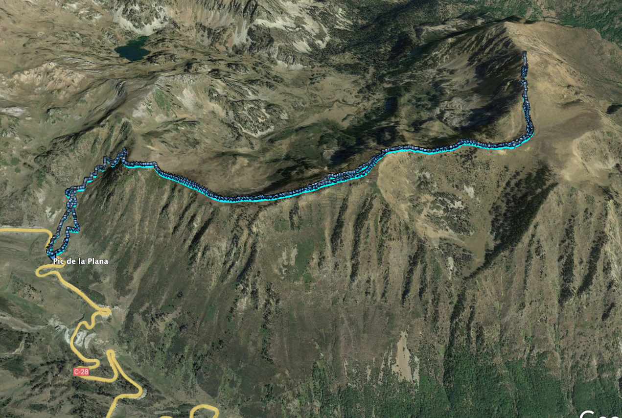 Ruta: Pic de la Plana ( 2493 m.) (Els 100 Cims)
