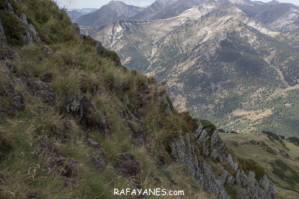 Ruta: Pic de Montalt (2496 m.) (Els 100 Cims)