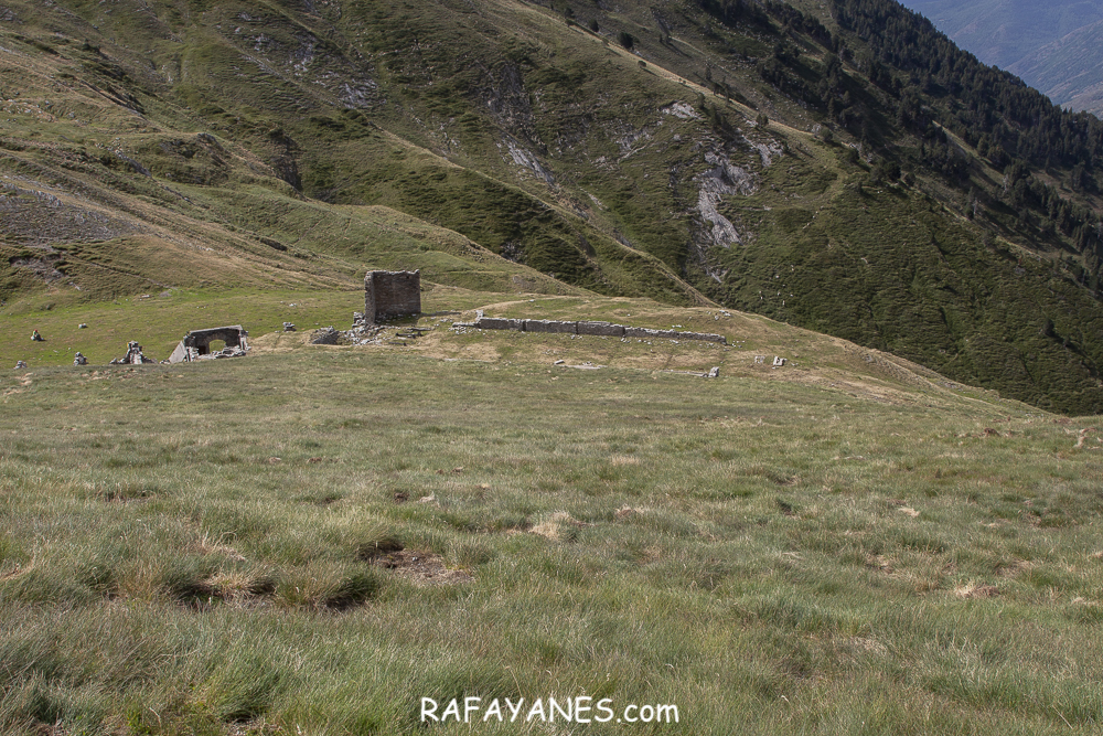 Ruta: Pic de Montalt (2496 m.) (Els 100 Cims)