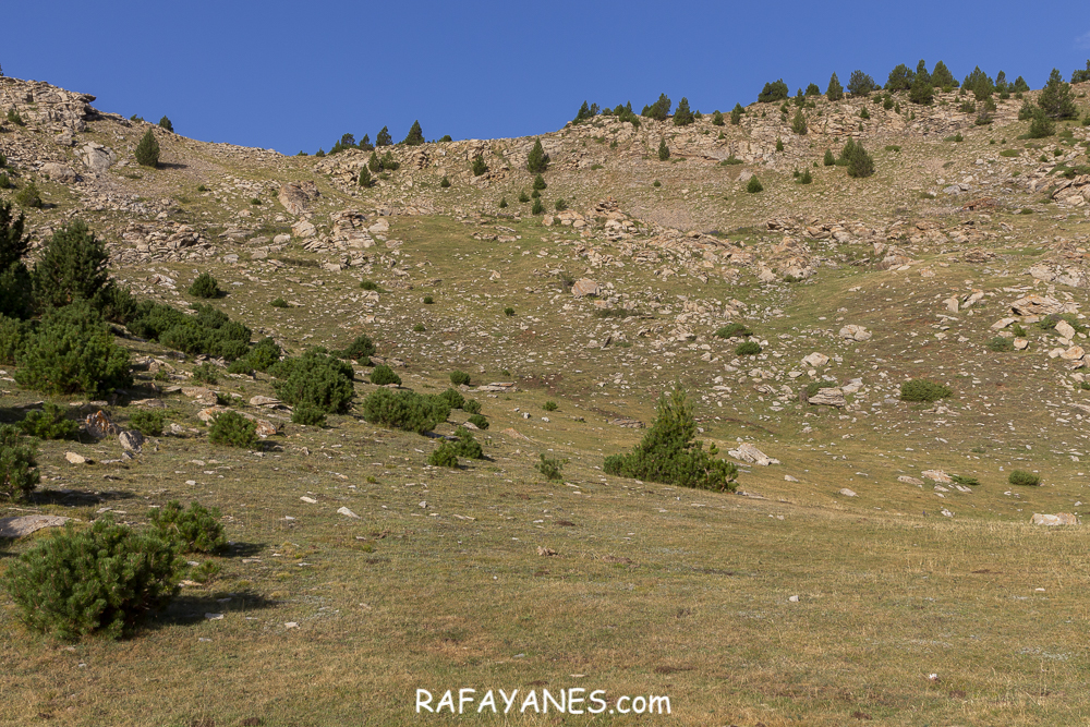 Ruta: Tossal Gros (Pelat de Talltendre) ( 2225 m) (Els 100 Cims)