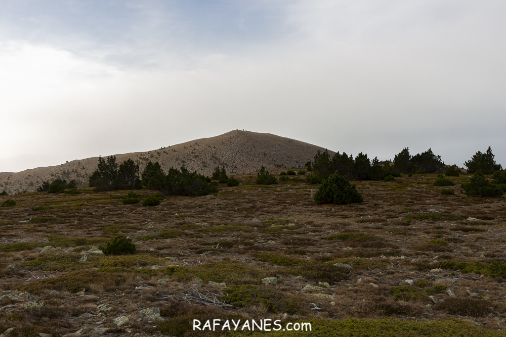 Ruta: Puig de la Pelada ( 2370 m) (Els 100 Cims)