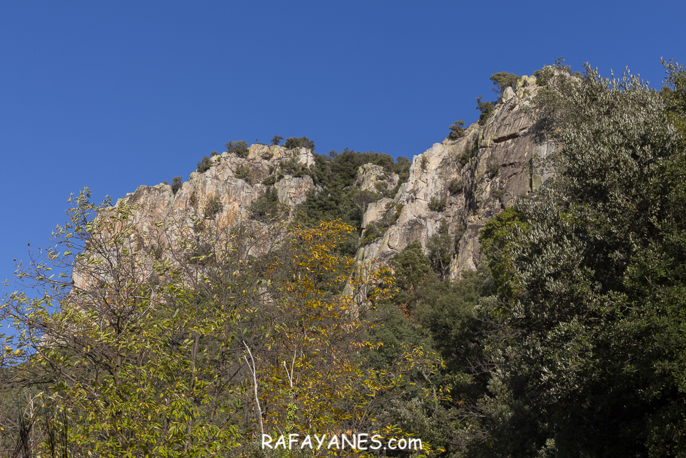 Ruta: Roques del Rei ( 852 m) (Els 100 Cims)