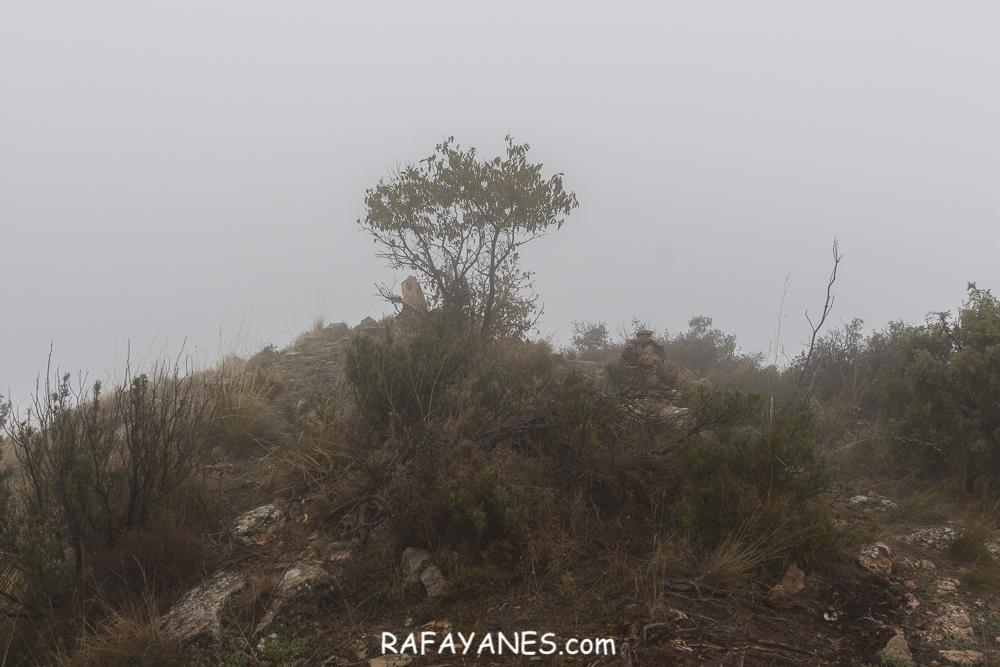 Ruta: Mont-roig (Cim de les Altures) ( 715 m.) (Els 100 Cims)