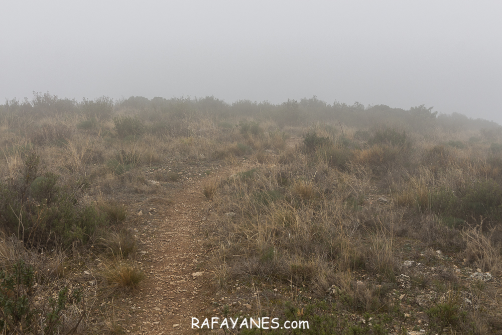 Ruta: Monteró ( 715 m.) (Els 100 Cims)