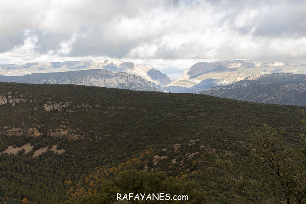 Ruta: Punta d’Ossos ( 1014 m.) (Els 100 Cims)