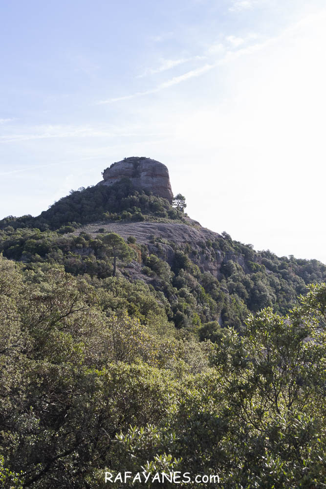 Ruta: Turó del Mal Pas ( 755 m.) y Castell de Bocs ( 662 m.) (Els 100 Cims)