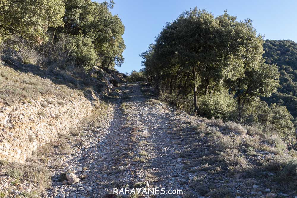 Ruta: Serrat de Migdia (1082 m.) y Montsent (963 m.) (Els 100 Cims)