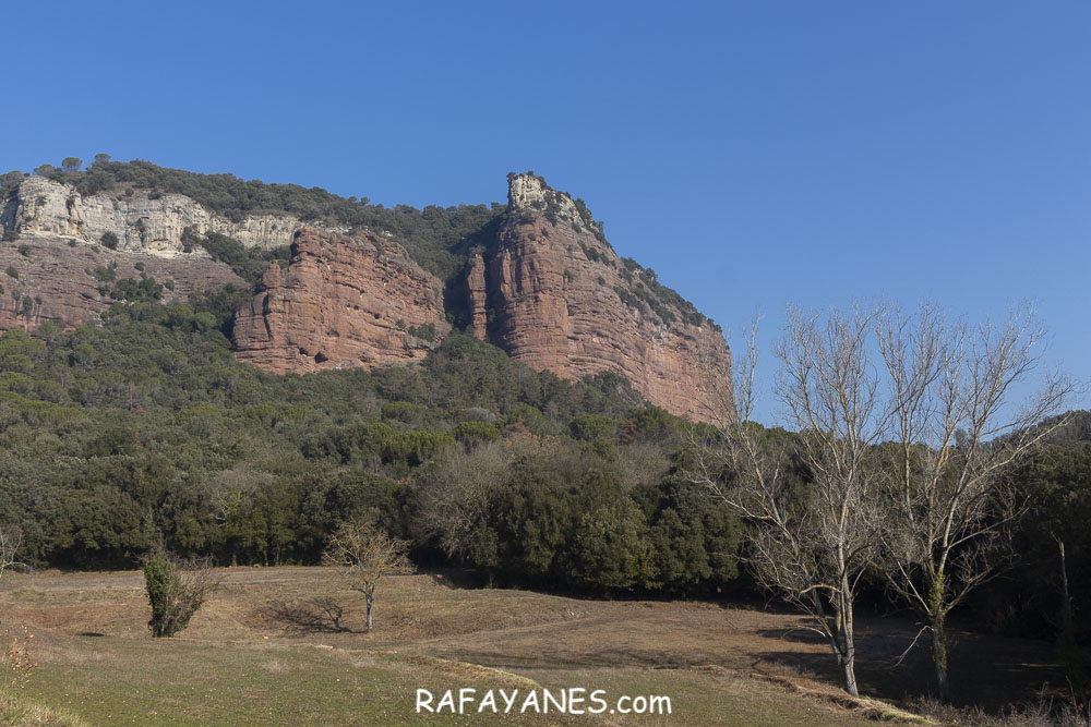 Ruta: Puig del Far ( 832 m) (Els 100 Cims)
