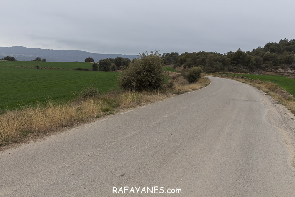 Ruta: Serrat de la Madrona ( 682 m.) (Els 100 Cims)