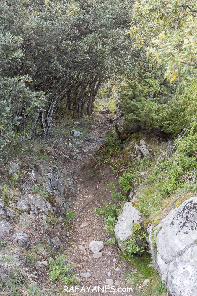 Ruta: Tossal de l’Àliga (la Geganta Adormida) (1315 m.) (Els 100 Cims)